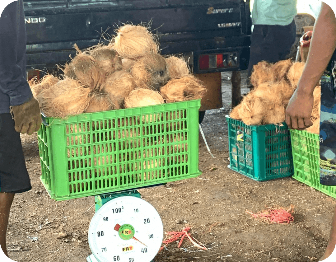 Sorting & Check